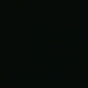 Meet your Posher, Evan